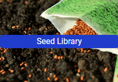 Seed Library